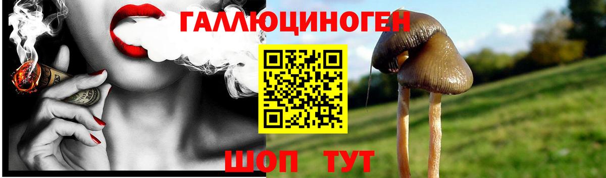 Псилоцибиновые грибы Cubensis Бугуруслан